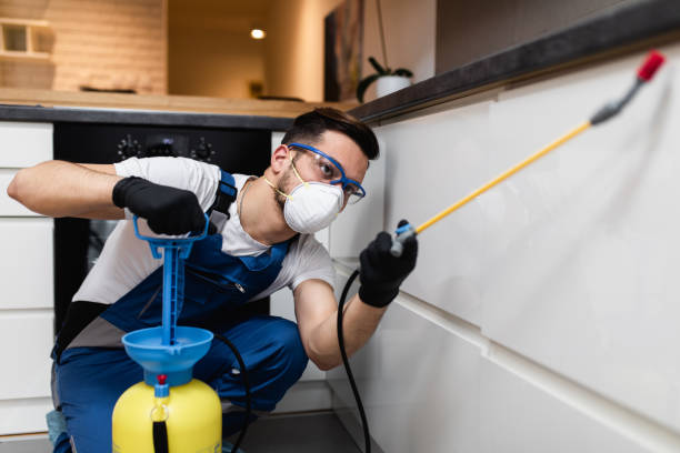 Best Pest Control for Homes  in Aurora, NE