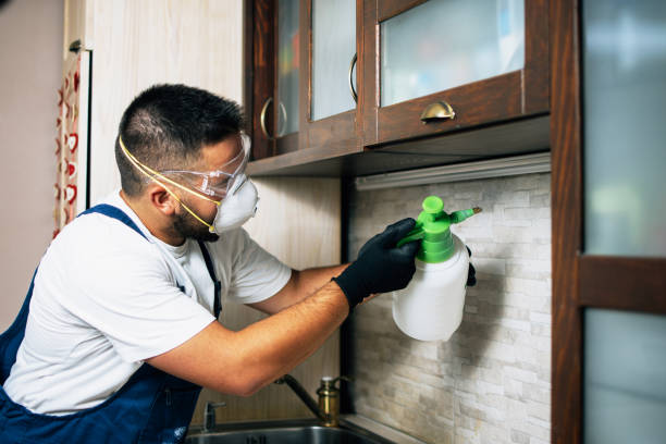Wasp Removal Services in Aurora, NE