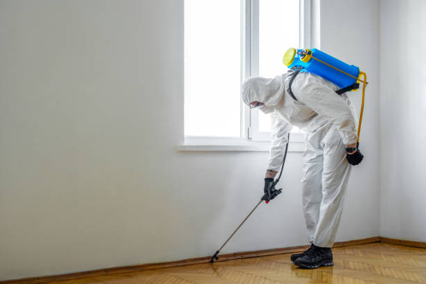 Trusted Aurora, NE Pest Control Experts