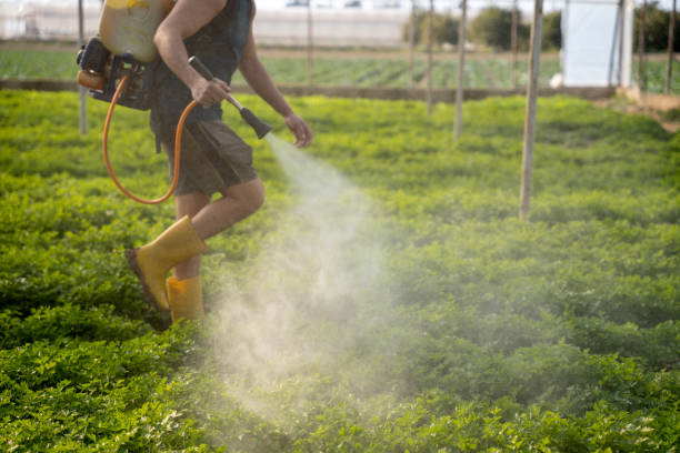 Best Affordable Pest Control Services  in Aurora, NE