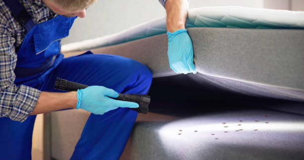 Best Cockroach Control Services  in Aurora, NE