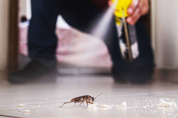 Aurora, NE Pest Control Company