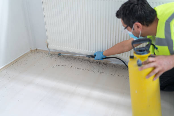 Best Pest Removal Services  in Aurora, NE