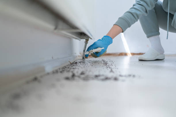 Pest Control for Restaurants in Aurora, NE