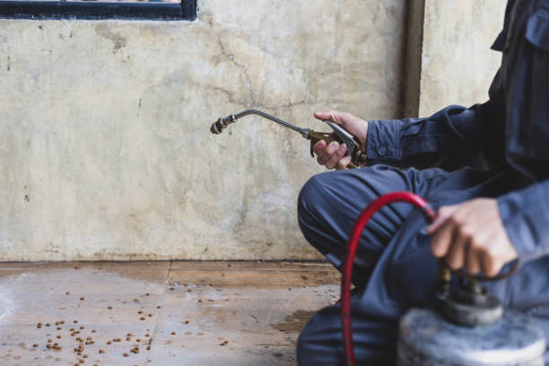 Best Flea Control Services  in Aurora, NE
