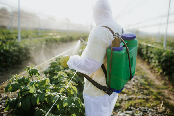 Best Pest Prevention Services  in Aurora, NE